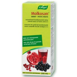 A.VOGEL Molkosan Fruit - 200ml