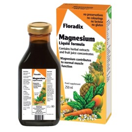 SALUS HAUS Floradix Magnesium Liquid Formula, Συμπλήρωμα Διατροφής Μαγνησίου σε Σιρόπι - 250ml